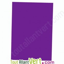 Sous-chemises recycl�es Violettes Nature Future 31x22cm pour A4